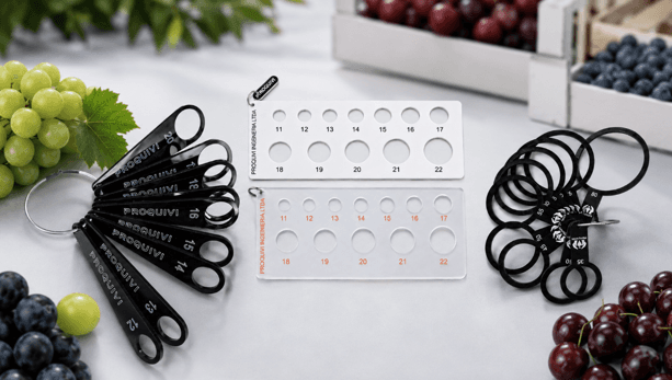 Professional high-precision fruit sizing gauges